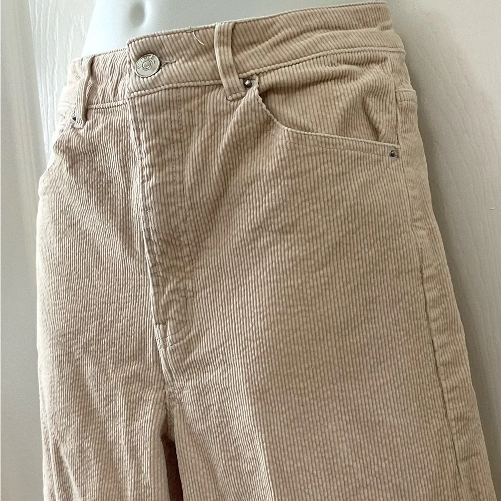 Divided Tan Corduroy Pants - Picture 3 of 7